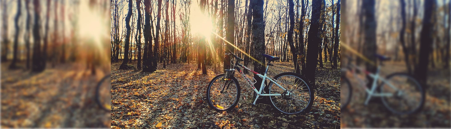 Cheap Supercycle Store -Cheap Supercycle Store 2